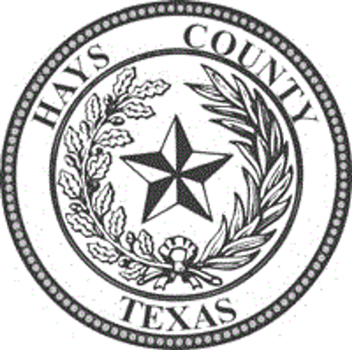 How Hays County flipped from red to blue in four years