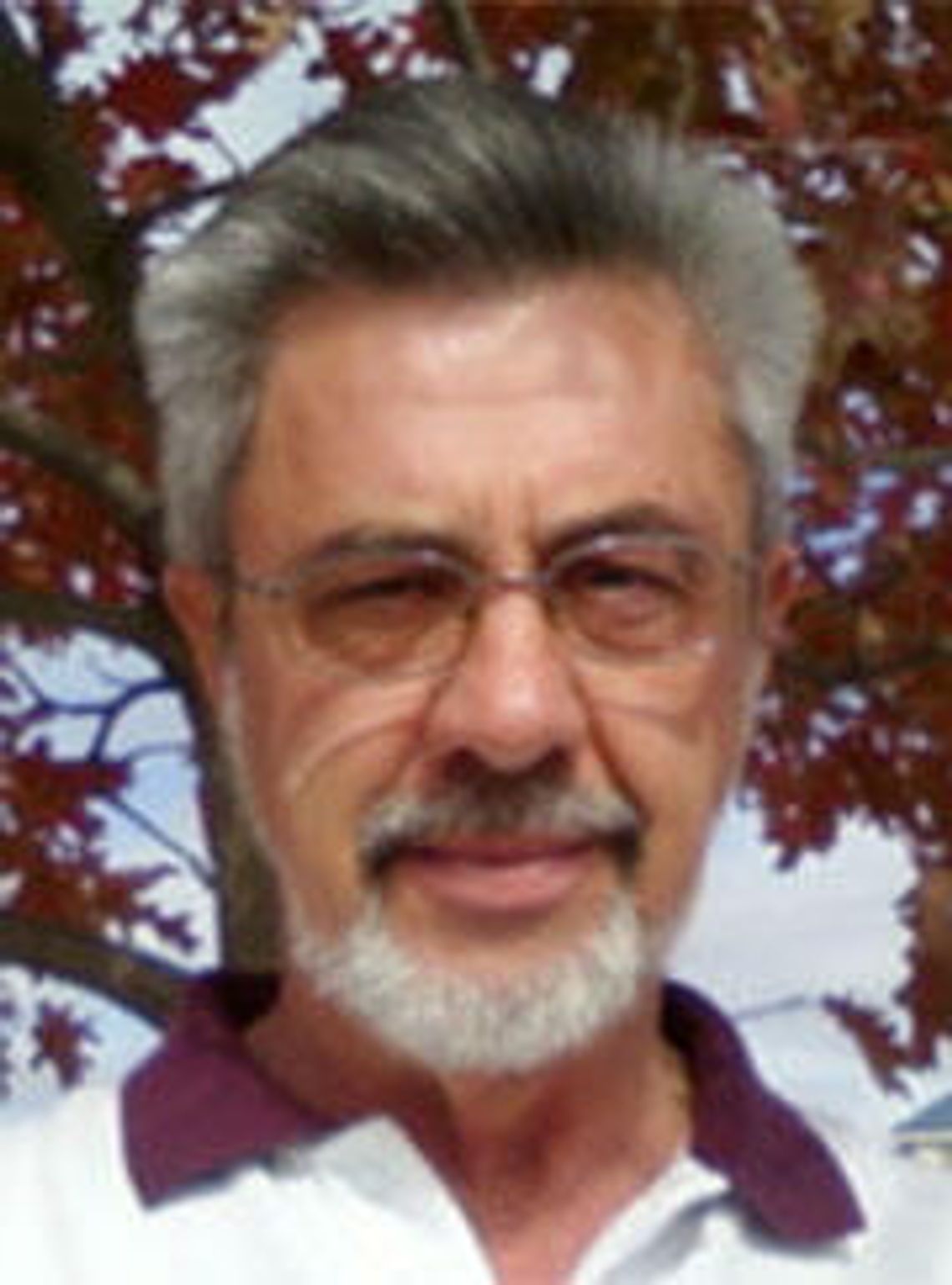 Ken Switzer (1949-2017)