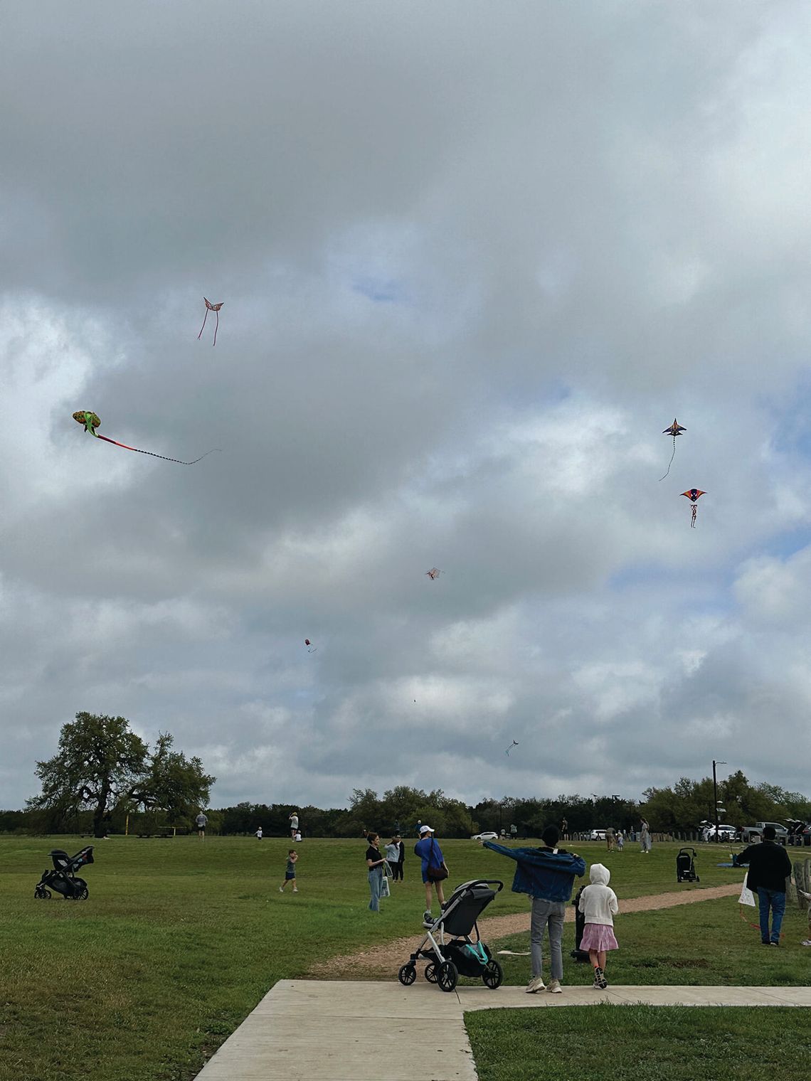 Kites soar at Dripping Springs Kite Festival