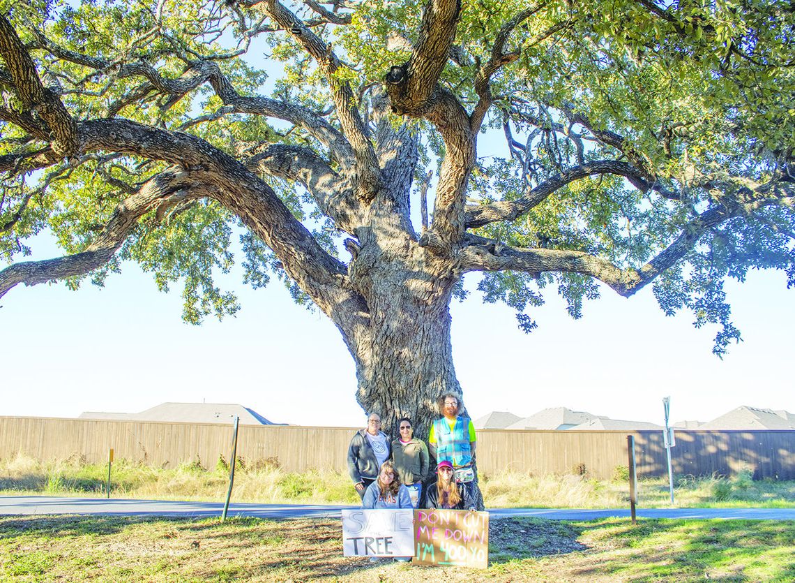 Kyle residents protest removal of 400-year-old tree