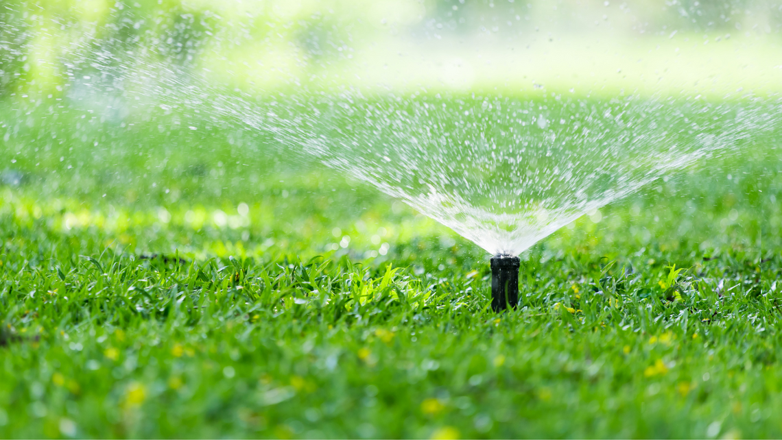 Kyle under amended Stage 2 Mandatory Water Use Management Rules