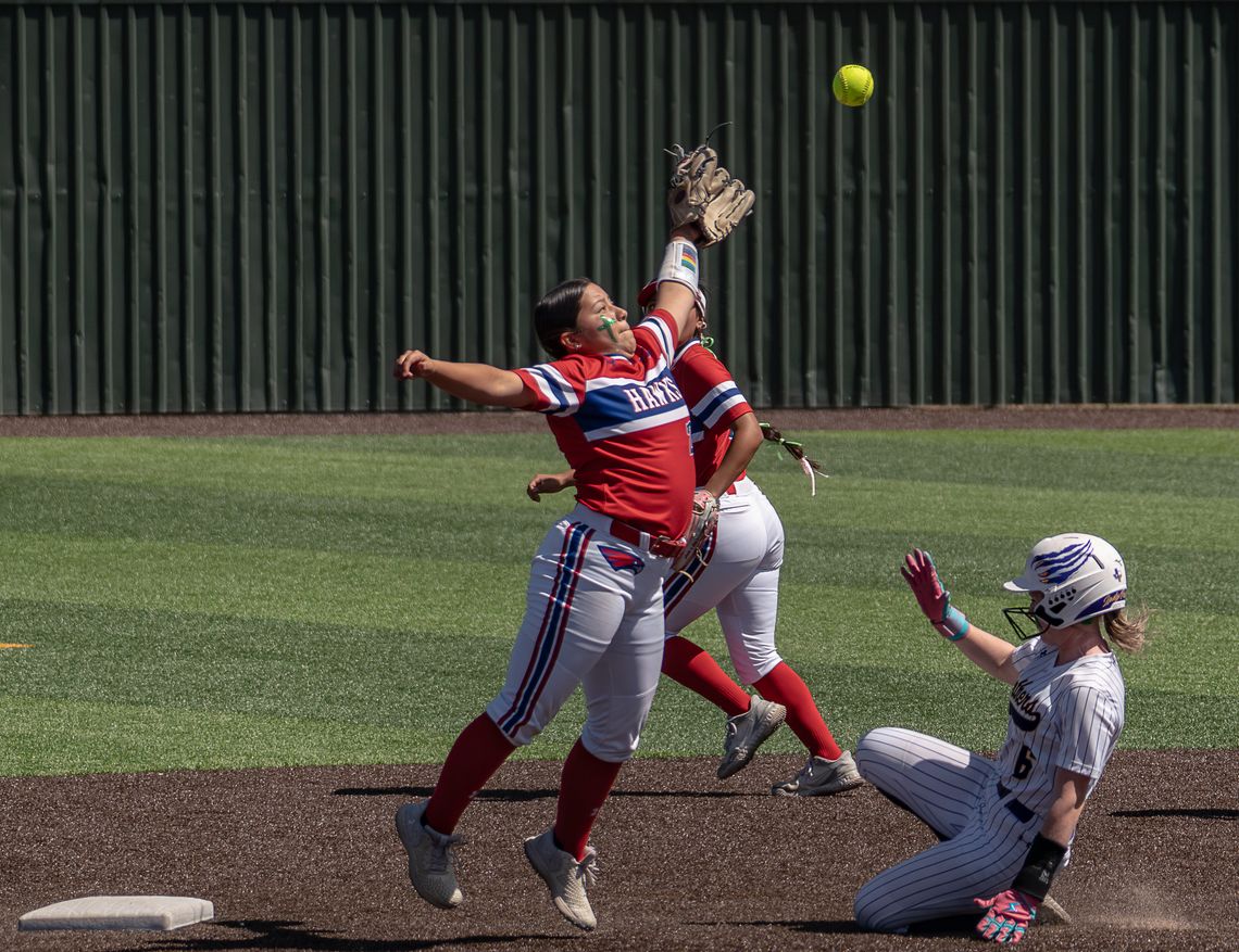 Lady Hawks swipe win against Panthers