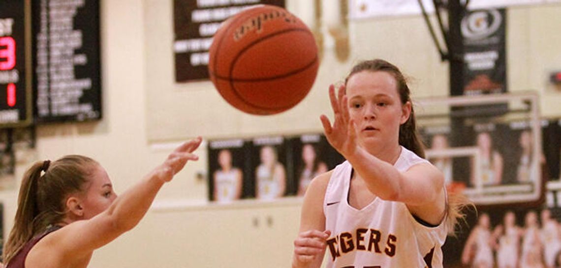 Lady Tigers soar past Wagner, advance to area round
