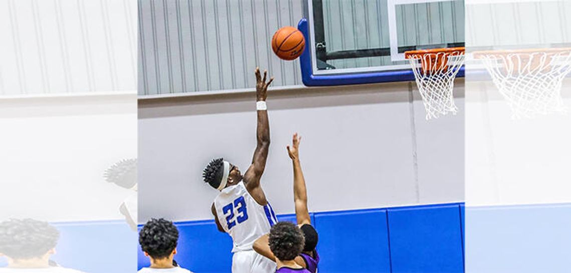 Lobo basketballer surges into varsity role