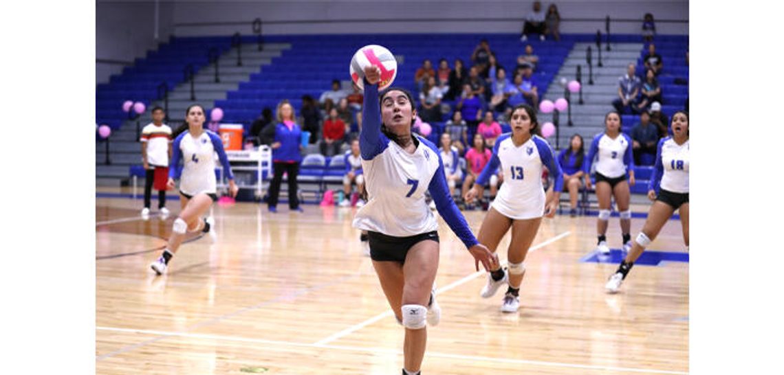 Lobo volleyball falls to Westlake in season finale