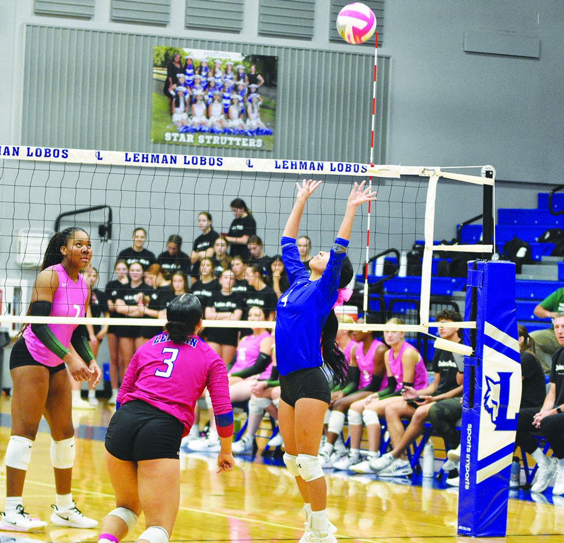 Lobos swept by Timberwolves