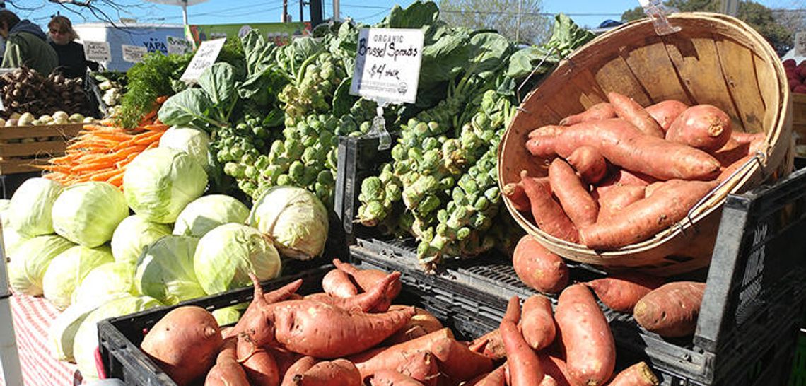 Local area farmers markets help generate $3.3M in sales
