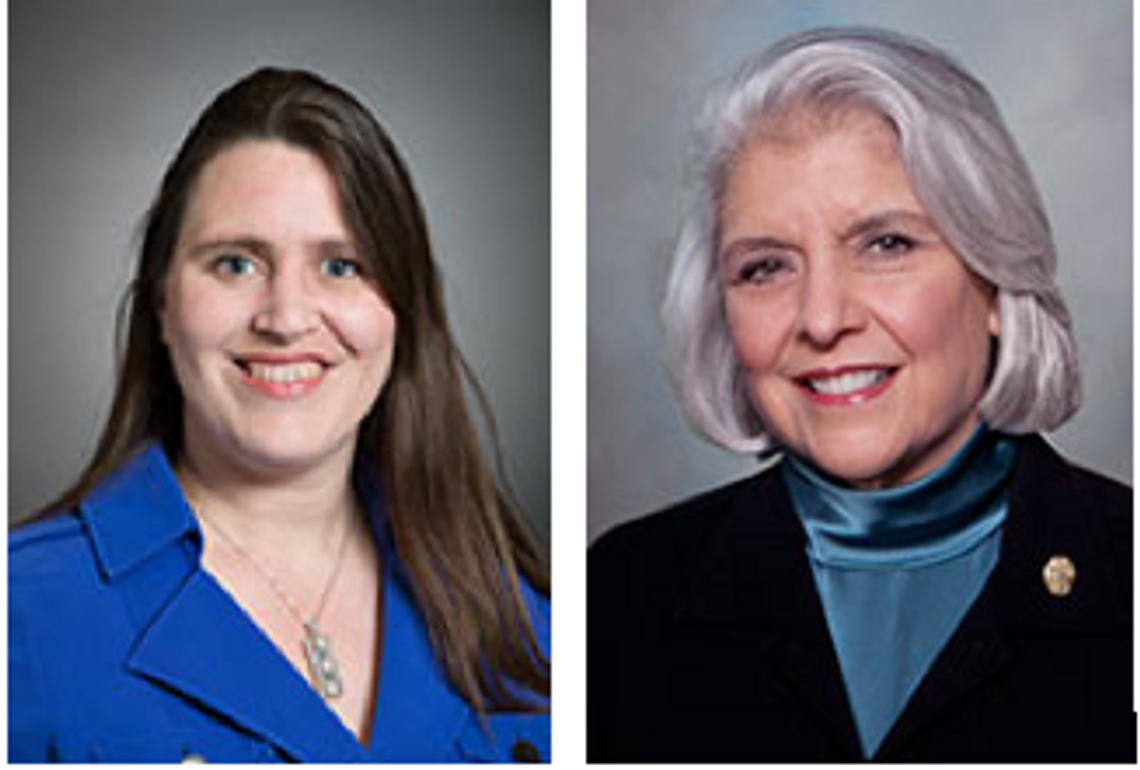 Local representatives pre-file bills for the 87th legislative session