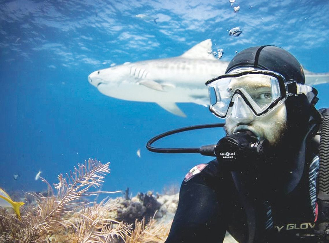 Local shark enthusiast publishes children’s book Local shark enthusiast publishes children’s book