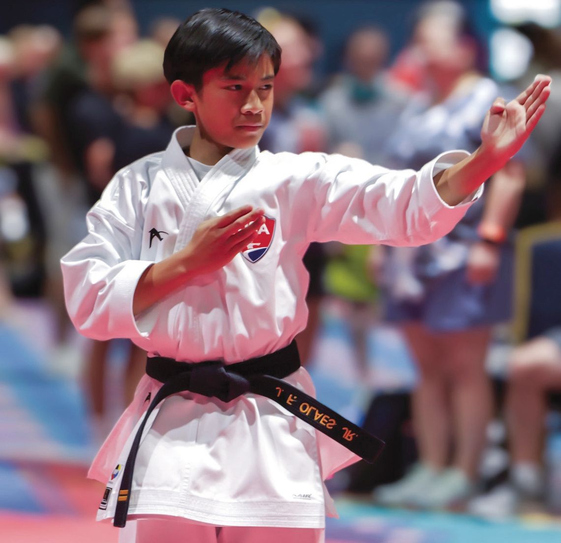 McCormick student ranks No. 1 in Korean martial arts