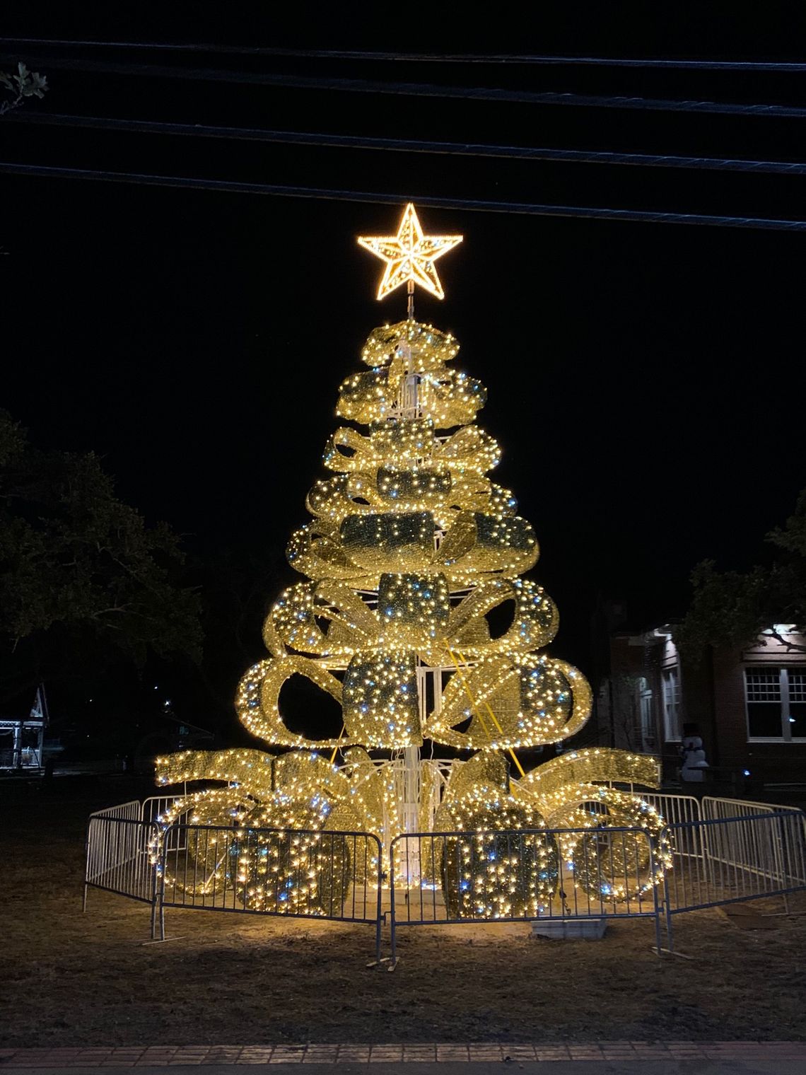 Neighborhood Christmas lights on display