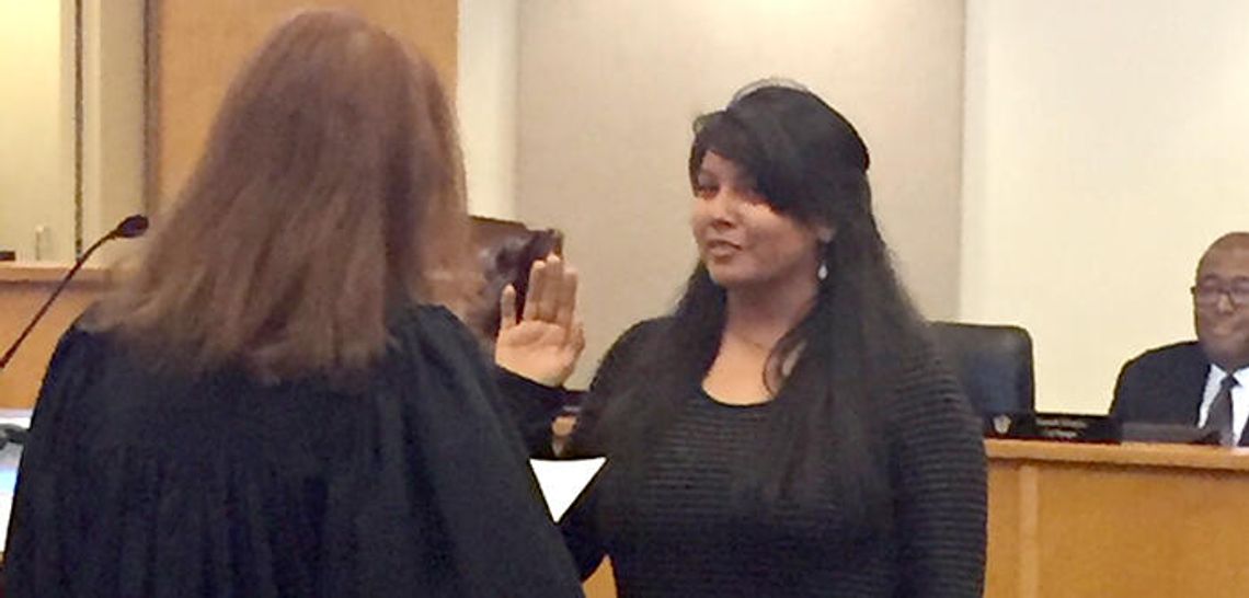 New city council members follow learning curve of government work