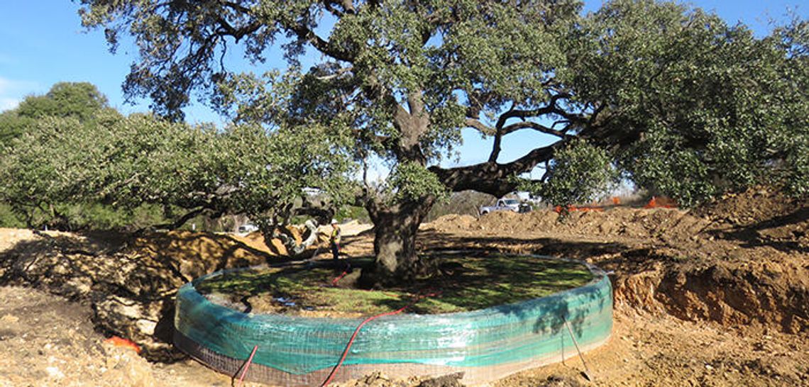 New municipal, library, police building on schedule in Buda