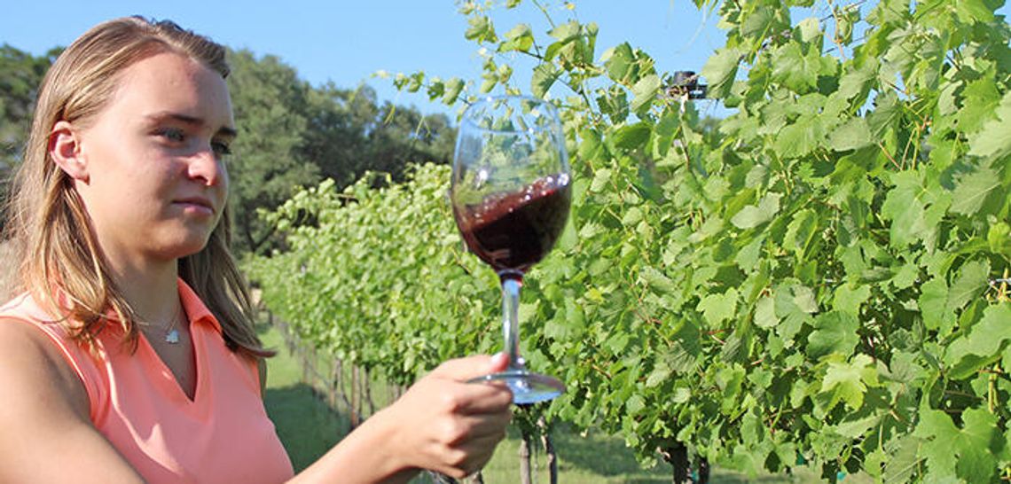 New wine bill demands 100%: Wineries show concern about 100% Texas grape bill