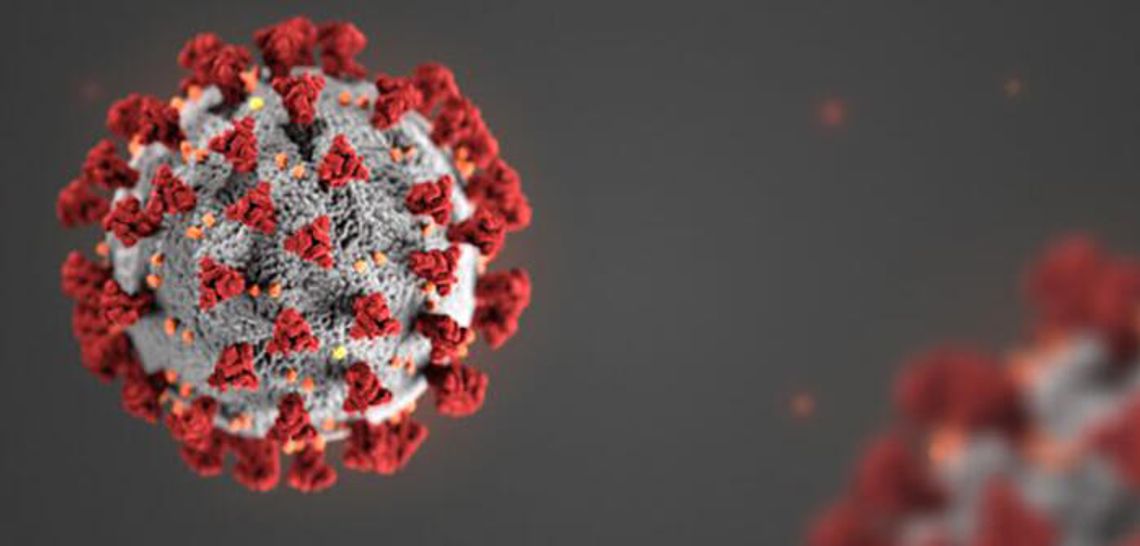 Over 4,775 COVID-19 vaccines administered in Hays County 