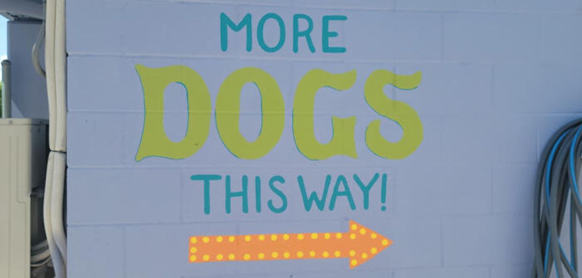 PAWS Shelter celebrates remodel of Kyle location
