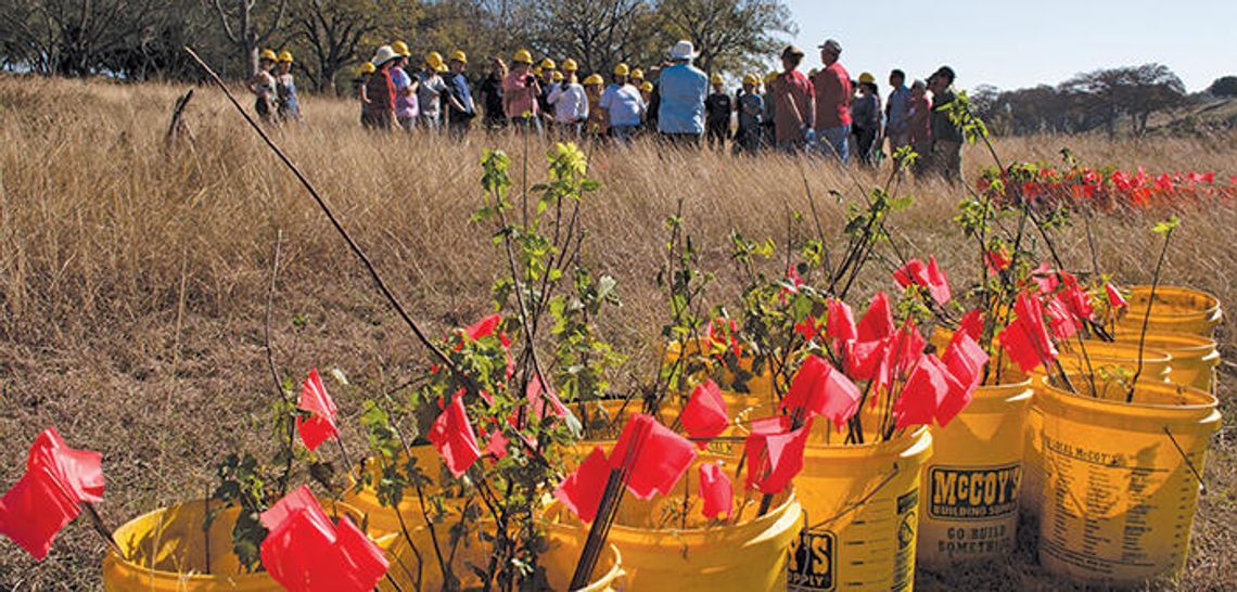 Planting with purpose