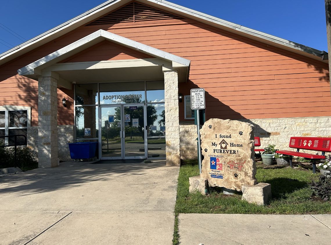 Regional animal shelter still overcrowded