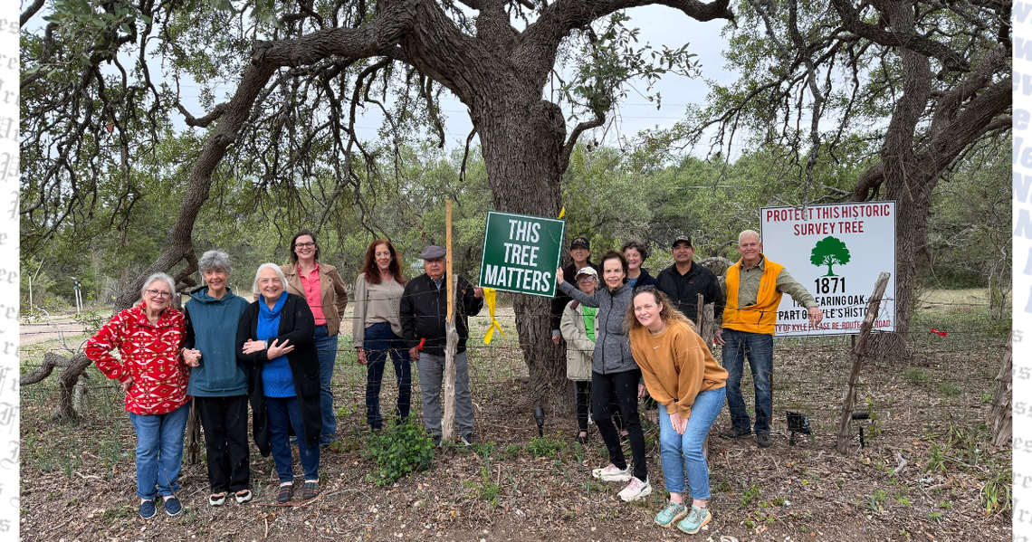 Residents urge Kyle to reconsider tree removal