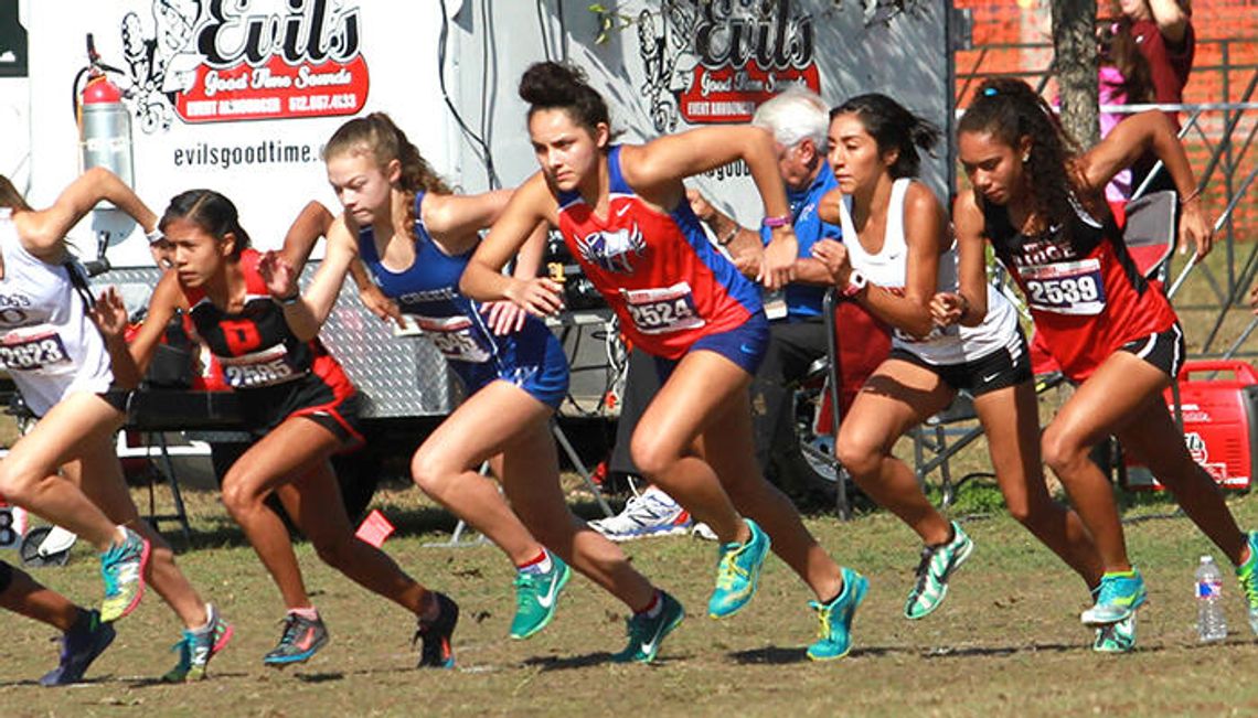 Returning Rebels to lead cross country team