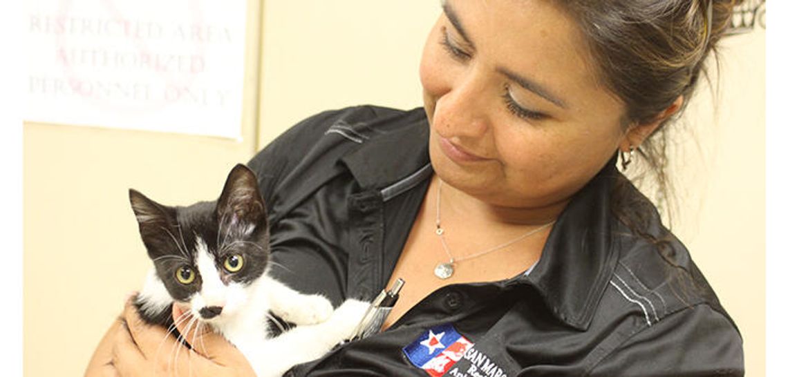 Shelter cares for Buda bust animals