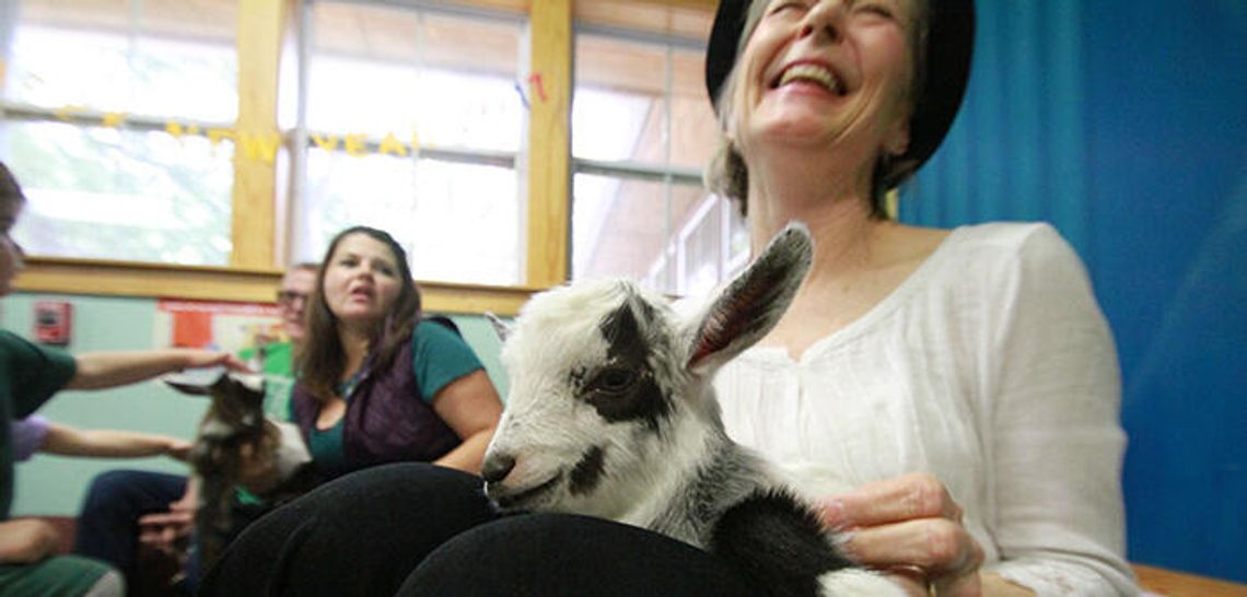 Storytime gets Loco at Dripping Springs library
