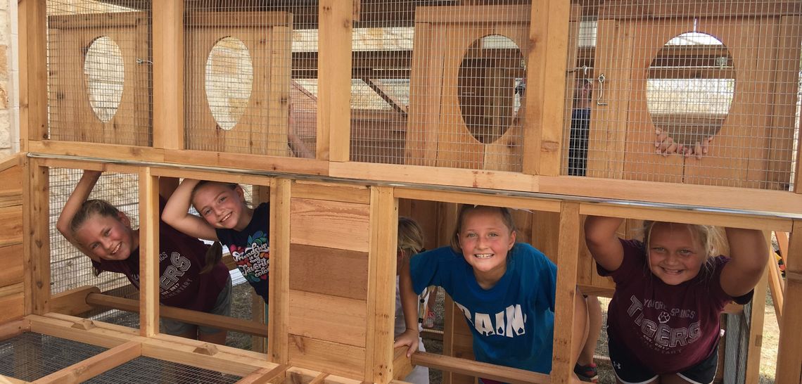Students complete chicken coop at Sycamore Springs