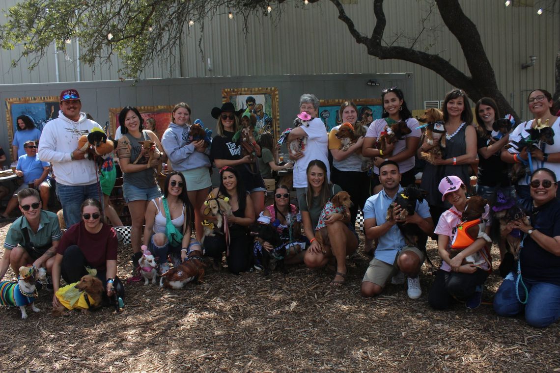 Suds Monkey Brewing hosts second annual Dachshund Dash