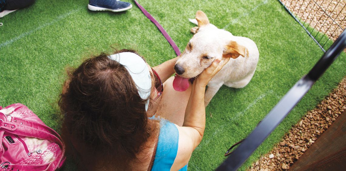 Tails wag for Barks & Blooms