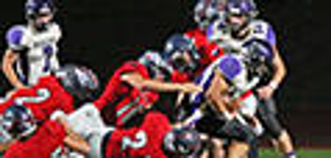 Texans fall to Panthers Texans fall to Panthers