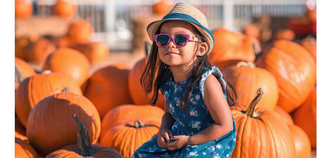 Texas Pumpkin Facts