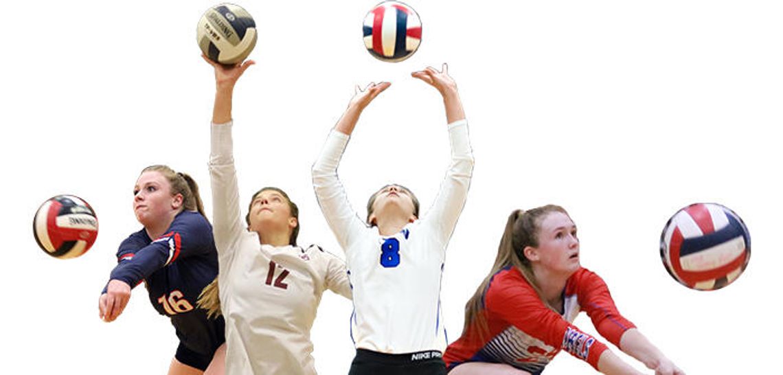 The All Hays Free Press/ News-Dispatch volleyball team
