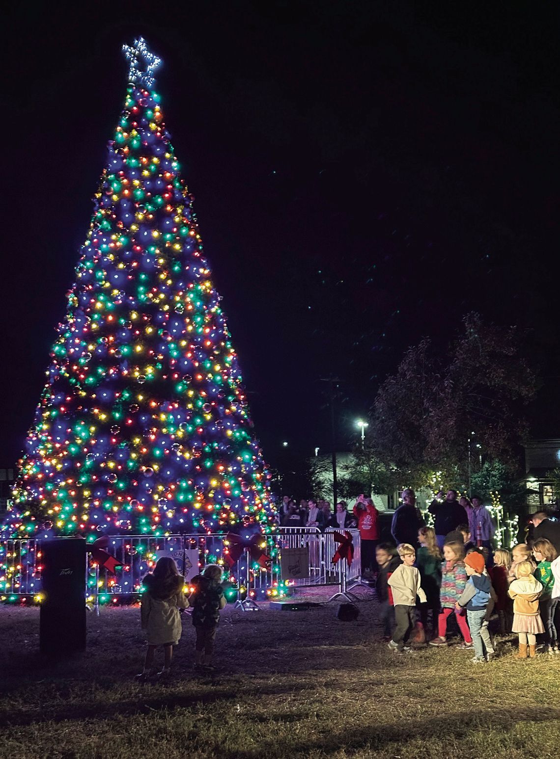 The DS Lions Club lights community tree