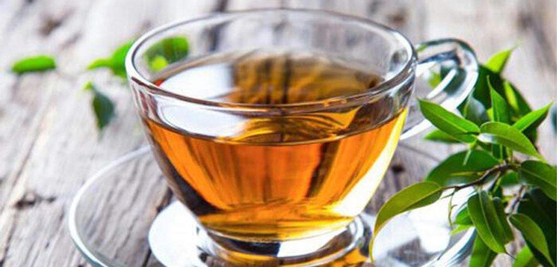 The world of tea herbs