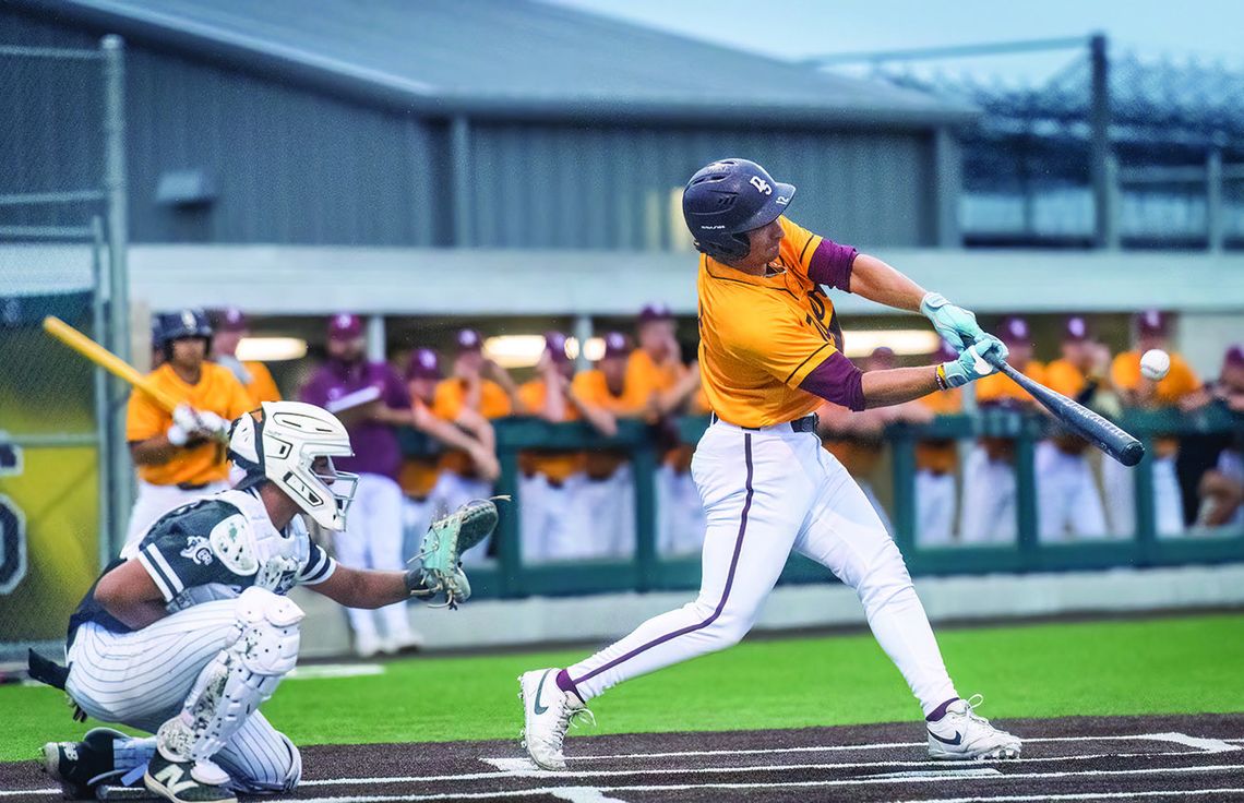 Dripping Springs Tiger baseball advances to semifinals Dripping Springs Tiger baseball advances to semifinals