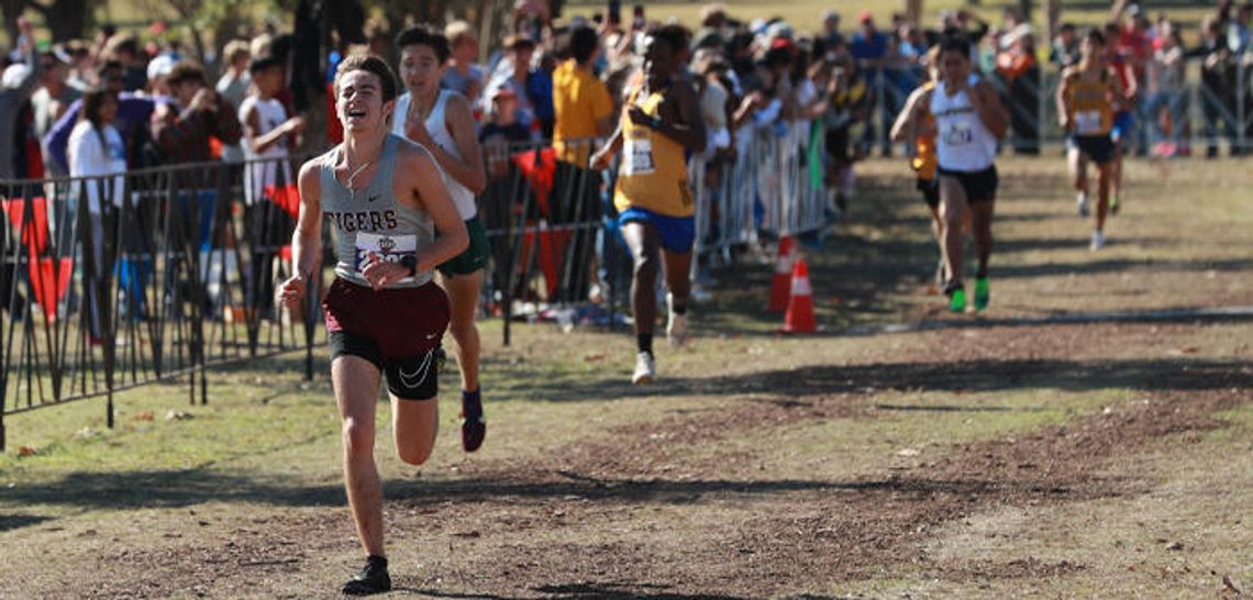 Tiger cross country teams hit the course at state