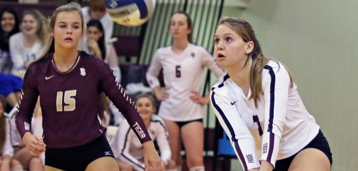 Tiger netters secure 7th straight district crown