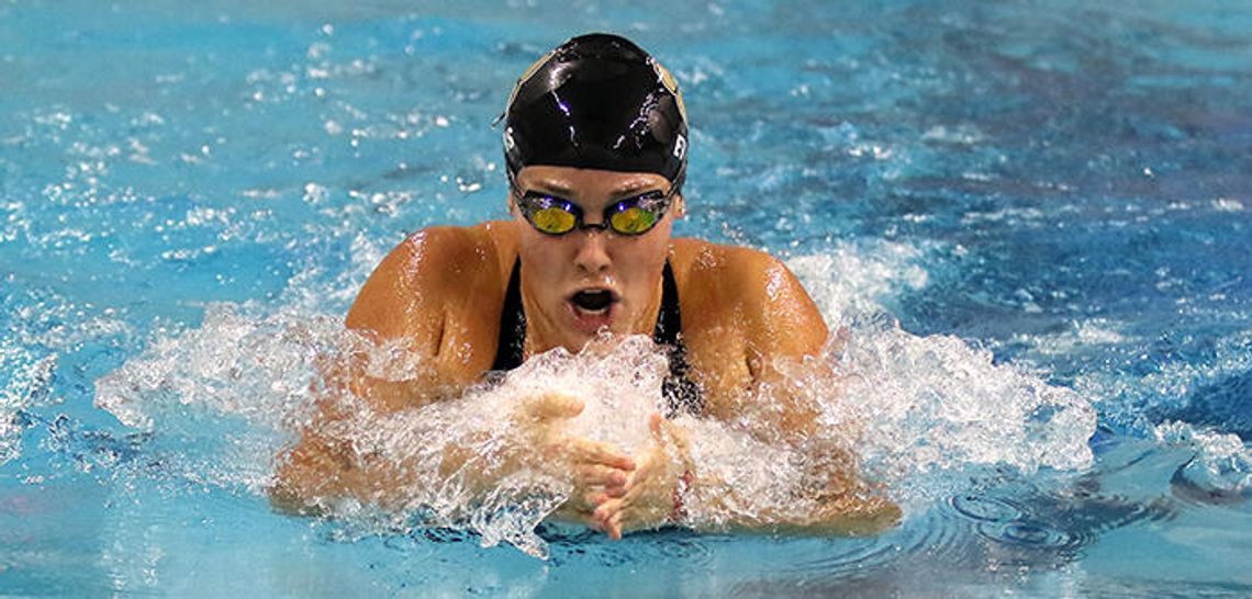 Tiger swimmers make a splash at state meet Tiger swimmers make a splash at state meet