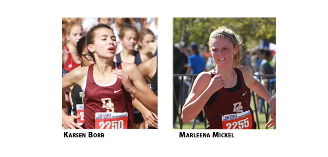Tiger XC aims for return to state