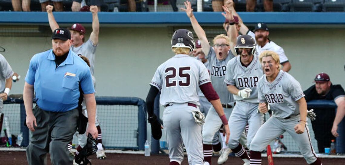 Tigers advance with hard-fought win