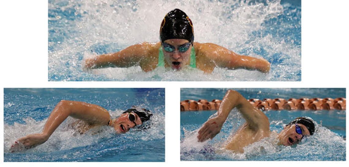 Tigers dive into state swim meet