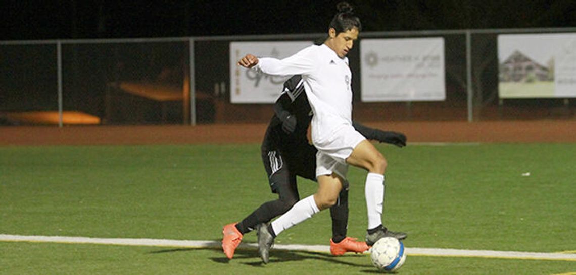 Tigers stomp Panthers in late surge