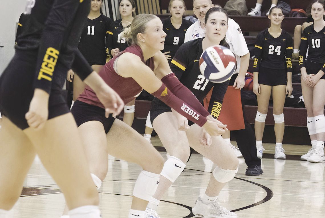 Tigers sweep Bowie Bulldogs