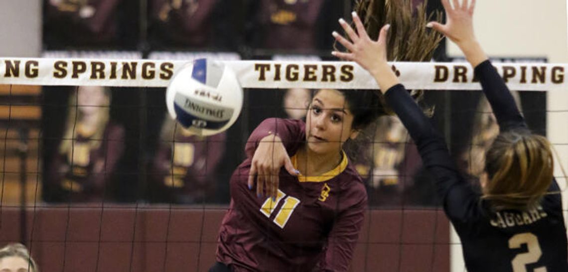 Tigers sweep Jaguars