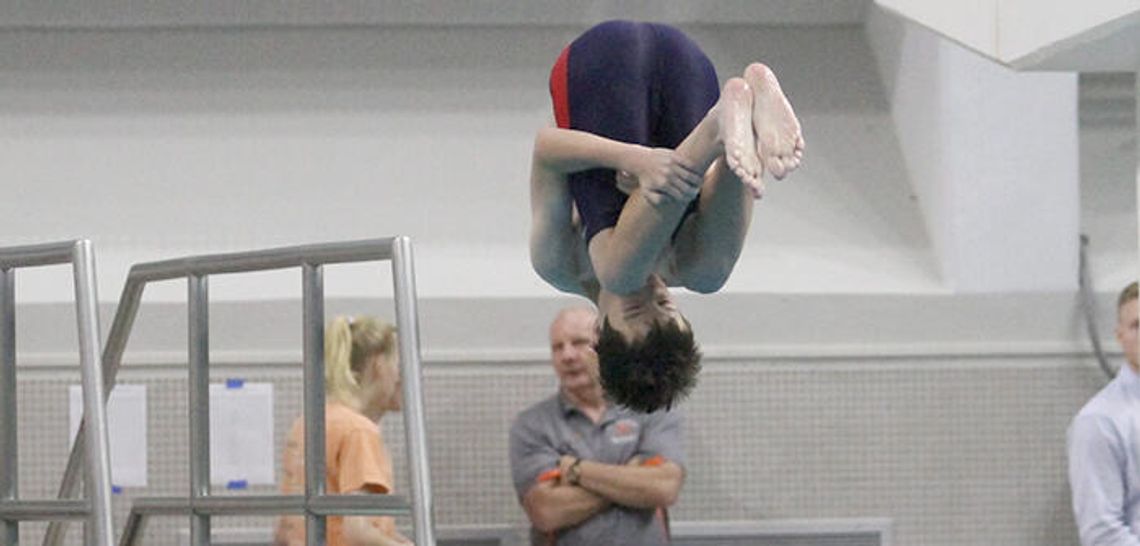 Tigers, Texans swimmers head  to state meet