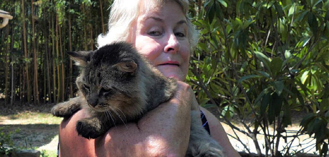 Tomcat inspires City of Hays residents to help ferals