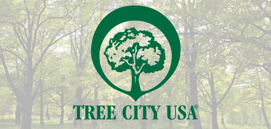 Tree season is underway: Buda designated a Tree City USA for third year