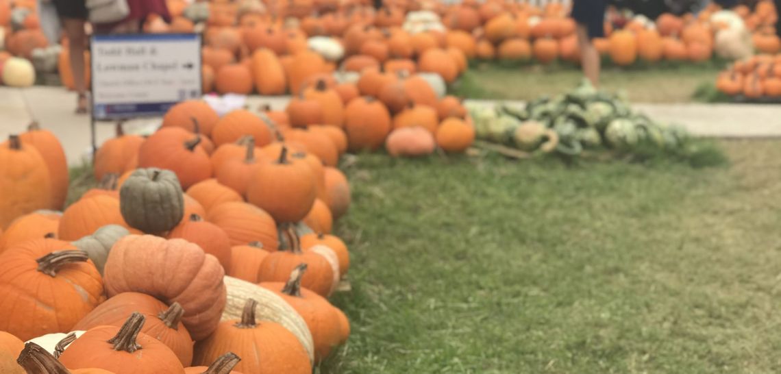 Turning orange to green  Hays churches use pumpkins to fundraise