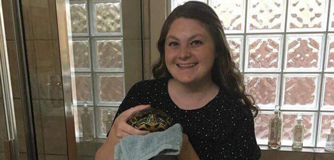 Turtle survives worst of fire in San Marcos, reunited with owner