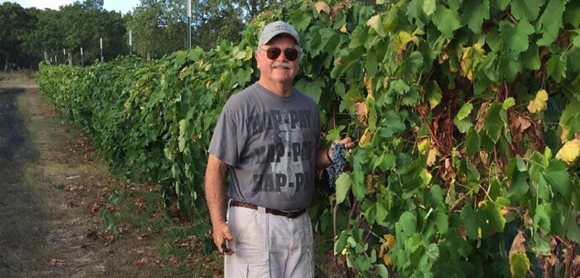 Vineyards say regs unfair to business, despite outside venue